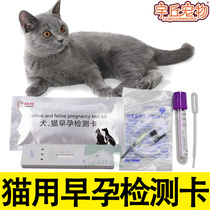 Pet Cat Pregnancy Test Paper Cat Pregnancy Test Paper Cat Pregnancy Test Pregnancy Test Test Paper For Pregnancy Test card Quick