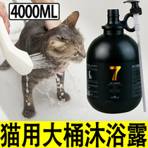 Large bucket of kitty special body lotion for cat with its own home big bucket of chamombo kitty big bottle amberal bath lotion