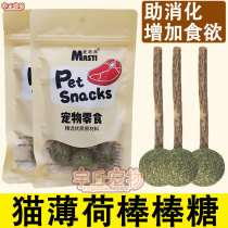 Kitty Grindrome Nibbling Adult Cat Little Milky Cat Clean Teeth Except Mouth Stink And Dont Dont Tease The Cat Stick Tease.