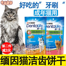 Silver tiger spotted Burmese Cat Mint Cookies kittens small biscuits snacks Calcium Grinders Grinders Dentity Dentity Dentifri