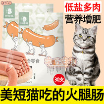 Tiger Spotted Beauty Short Cat Special Kitty Snacks Fire Leg Intestines A Cat Young Cat Low Salt Cat Used To Feed Cat Nutrition Calcium Sausage