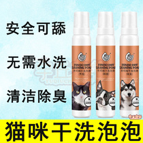 Mosquito Repellent dry cleaning foam body wash with bath lotion for young cat except bacteria small bottle to be free of pregnancy cat bacteriostatic functional kitty