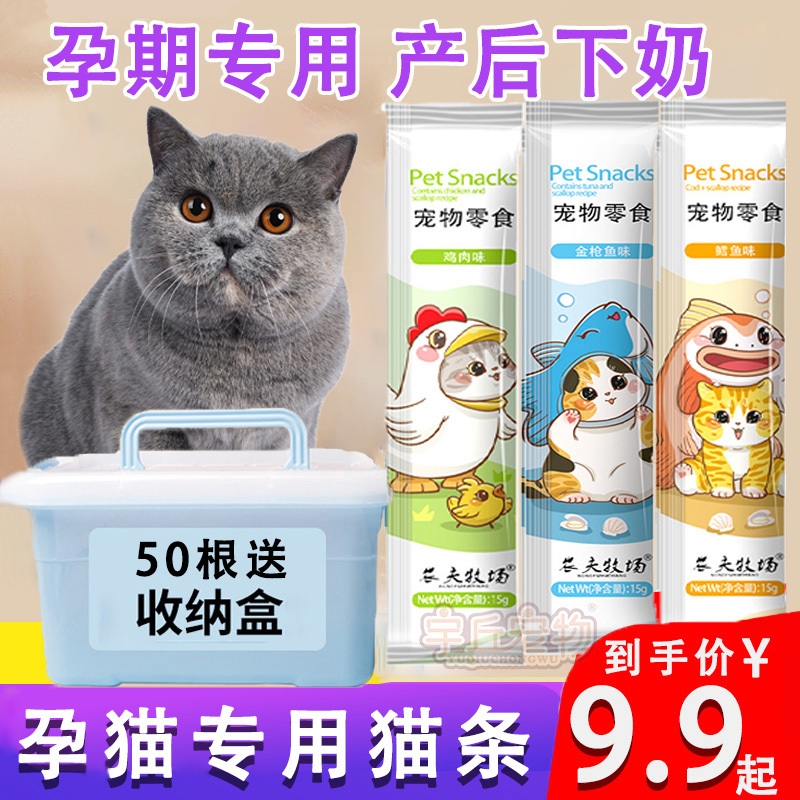 Pregnant Cat Nutrition Supplements, Postpartum Recovery, Cat Treats for Pregnant Cats, Supplement Food for Mother Cats to Stimulate Milk Production