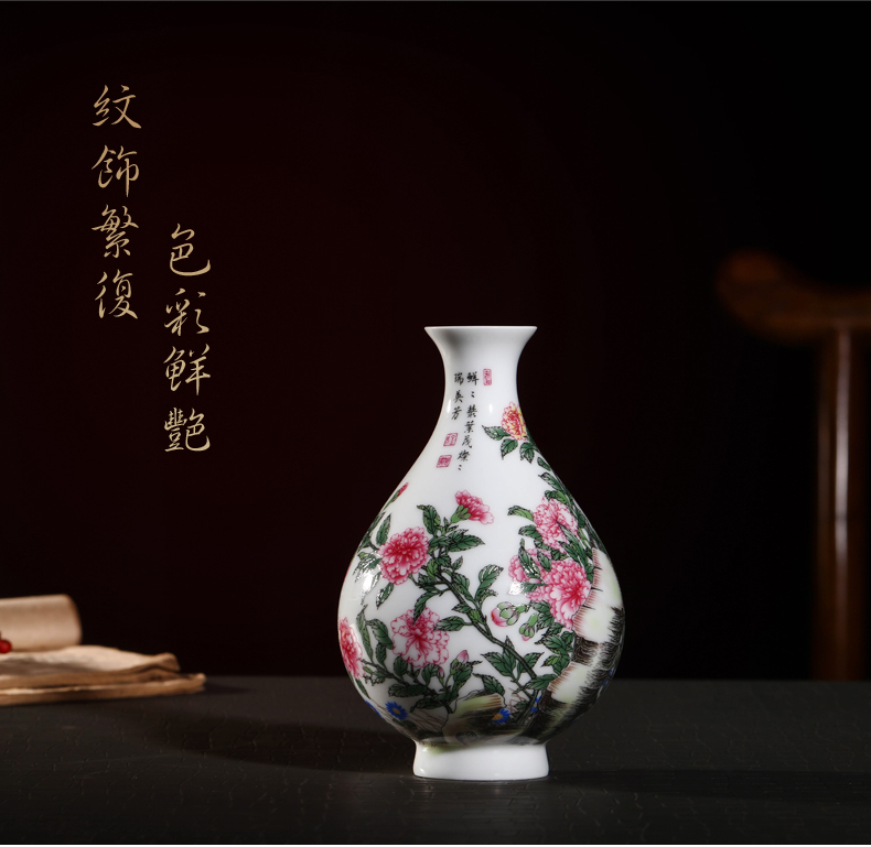 Jia lage jingdezhen ceramic vase YangShiQi the qing qianlong enamel see colour flowers and name okho spring bottle furnishing articles