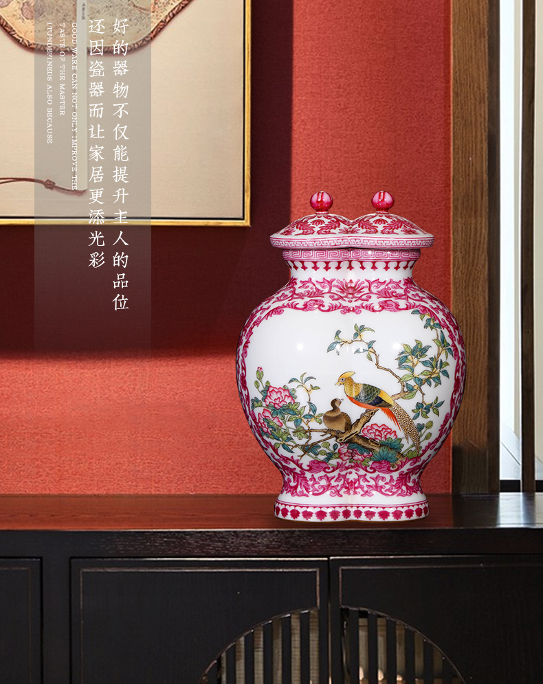 Jia lage jingdezhen ceramics furnishing articles YangShiQi hand - made see colour carmine colored enamel vase decoration