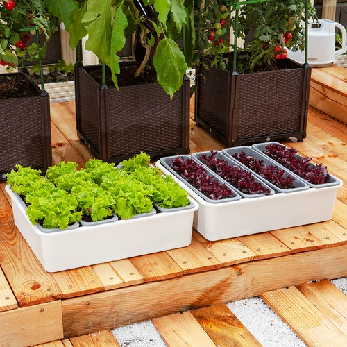 Семейная балкона посадки артефакт ленивый я -поглощающий цветочный горшок.