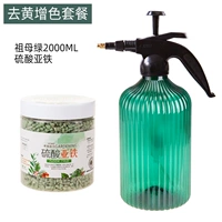 Сульфатный железо железа+зеленый 2L водяной канар