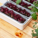 Семейная балкона посадки артефакт ленивый я -поглощающий цветочный горшок.