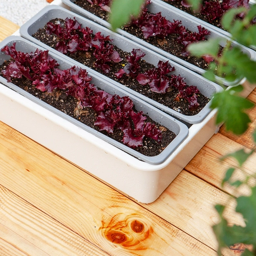 Семейная балкона посадки артефакт ленивый я -поглощающий цветочный горшок.