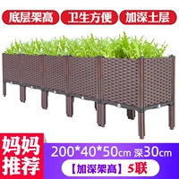 Gall Up и углубите пяти -ежедневную коробку