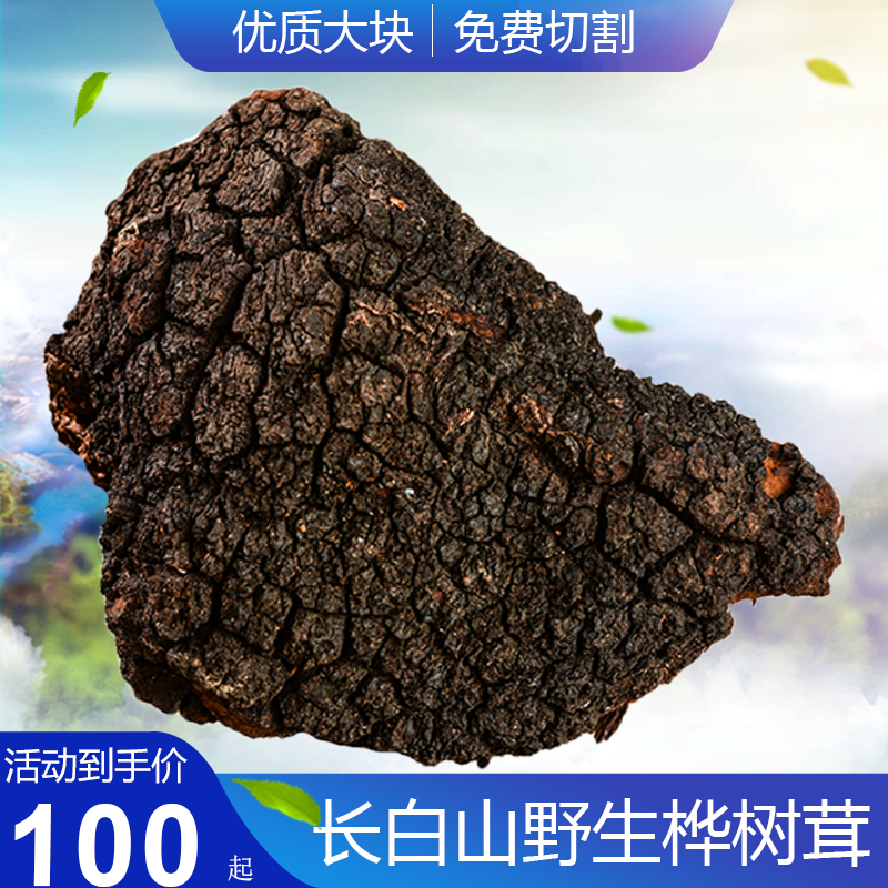 Birch velvet wild a pound of large pieces 3-10 Jilin Province natural insulin birch brown hole bacteria black gold water tea