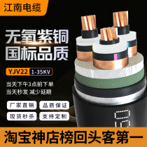 Jiangnan Cable National Standard YJV22 Medium and High Voltage Copper Core Armored Square 10 35KV Kilovolt 10 Engineering Power Wire