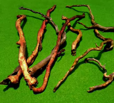 Rhododendron root branches Micro-landscape whisker roots South American cylinder thin branches sinking wood thin branches Reptiles Spiders landscaping mantis