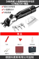 [6 -скоростная регулировка скорости] xiaoman талия флагов Модель модель шерсти сдвиг+13 изогнутый лезвие+подарок