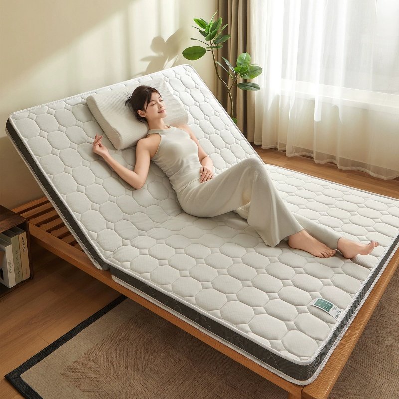 索菲亚天然椰棕榈乳胶床垫护脊软垫家用榻榻米垫子单双人学生宿舍