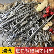 Foreign trade inventory imported stainless steel medical scissors beauty scissors hairdressing scissors household multifunctional fishing line scissors curved straight scissors