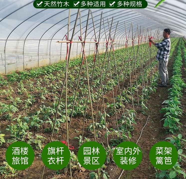 Small bamboo pole Vegetable Climbing bamboo wood Vegetable Garden with Bean Corner rack Fence Fence Colored Flagpole Fine Bamboo