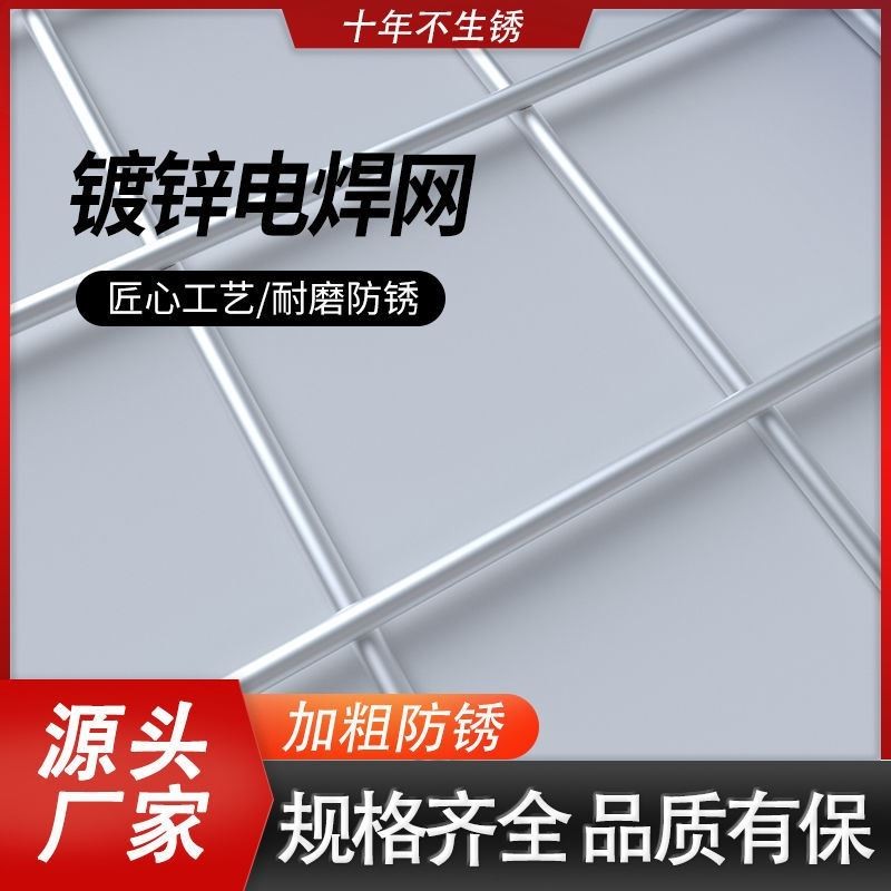 Hot-dip galvanized steel wire mesh anti-rust wire fence mesh breeding Chicken Duck Goose Enclosure Nets Anti Rat Snake Ring Ground Orchard Isolation