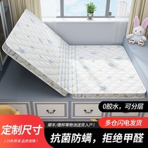 Bedding tatami pad foldable coconut fibre mattress custom