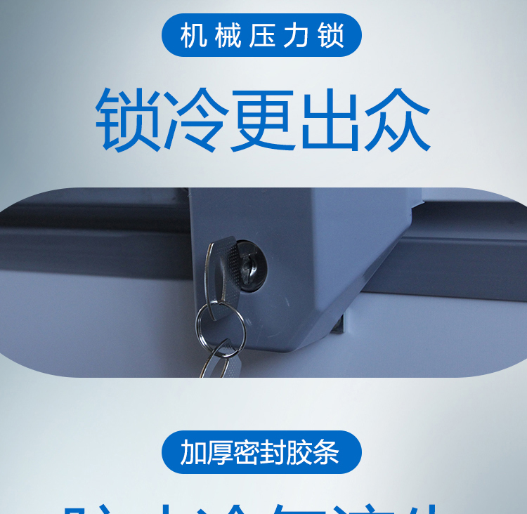 Tủ đông lạnh ướp lạnh đông lạnh công suất lớn - Tủ đông tủ trữ sữa đông mini