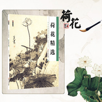 Classic paintings of the past dynasties high-definition Lotus selection freehand traditional Chinese painting painting copy model art beginner tutorial lotus painting without a teacher self-learning painting lotus