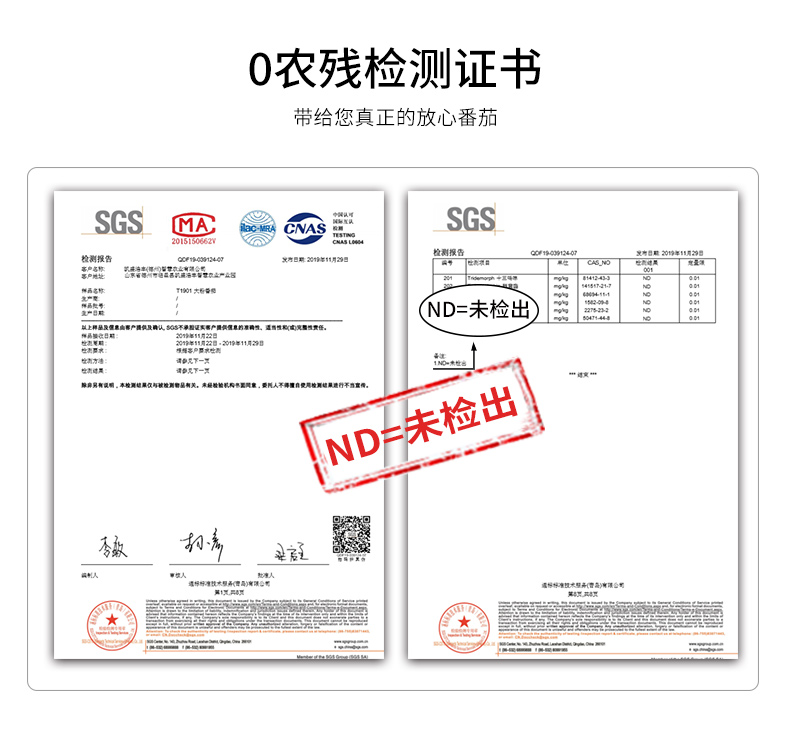绿行者 桃太郎大粉番茄 4斤12枚 礼品级 图9