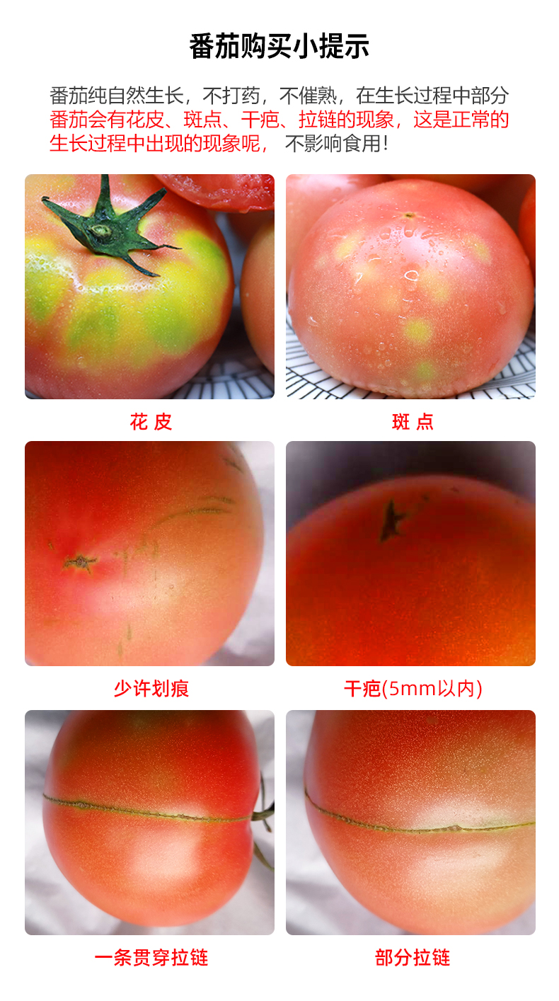 奥运会供应商 绿行者 桃太郎 沙瓤粉番茄 西红柿 5斤 无农药不催熟 图7