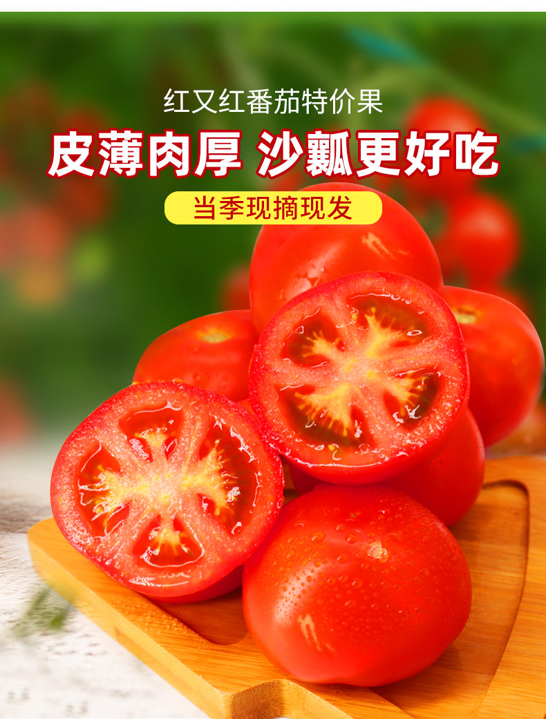 北京奥运会食材供应商，绿行者 红又红红番茄 5斤装 17.9元包邮 值值值-买手聚集的地方