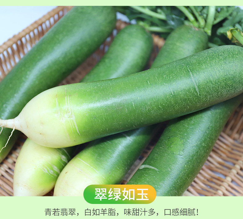 绿行者 生吃水果萝卜 5斤 图4