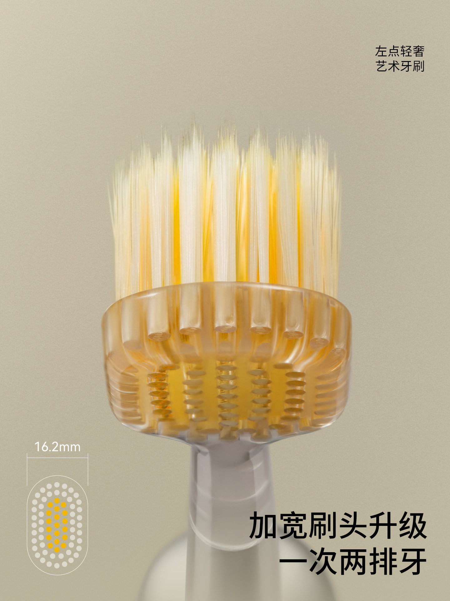 Zdeer Left Point Toothbrush Pro Model Soft Bristle Adult Interdental Brush Tongue Coating Large Head Metal Wide Brush Head Genuine Official