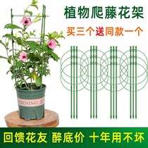 Flower rack climbing rattan flower bracket indoor and outdoor seasonal flower plant support rod green Dill clematis climbing frame gardening