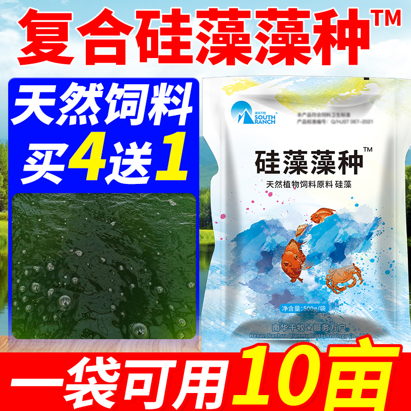Globular algae Diatom green fish shrimp crab pond Aquatic fertilizer Water aerobic algae species Aquaculture culture algae Wang grass Diatom algae species