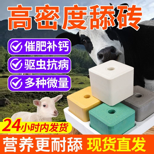 Корова -очень лизание кирпичных кирпичи и овец с дегкоби и кирпичными коровами с солью питательным зверя