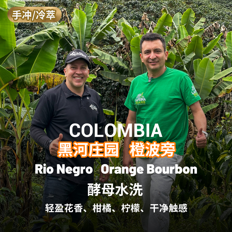 【Floral·Citrus】Lafika Orange Bourbon Washed Black River Estate Specialty Coffee Beans 25 Arrived in Hong Kong 【Floral·Citrus】Lafika Orange Bourbon Washed Black River Estate Specialty Coffee Beans 25 Arrived in Hong Kong