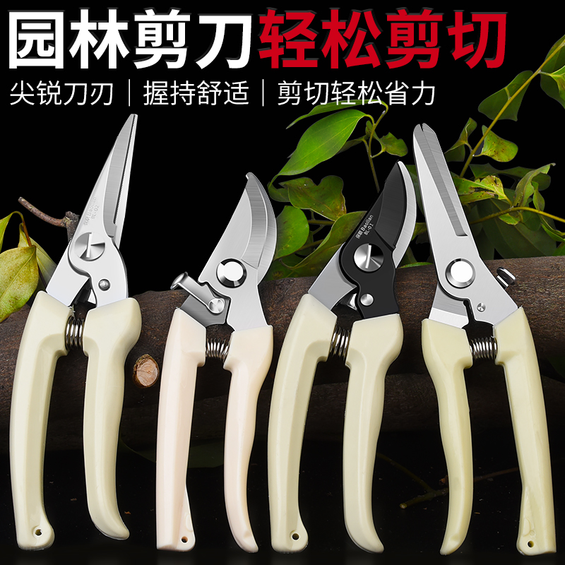 Picking fruit artifact garden art scissors pruning pruning shearing branches scissors flower branches picking persimmons pruning pruning shearing branches scissors