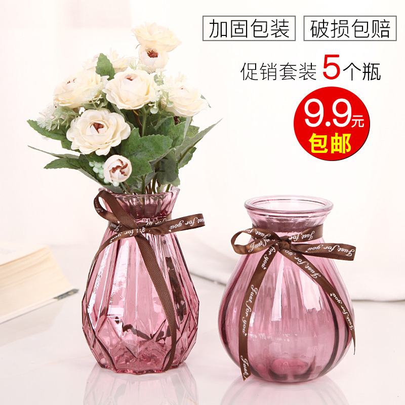 Transparent Glass Vase Hydroponic Green Dill Plant Dried Flower