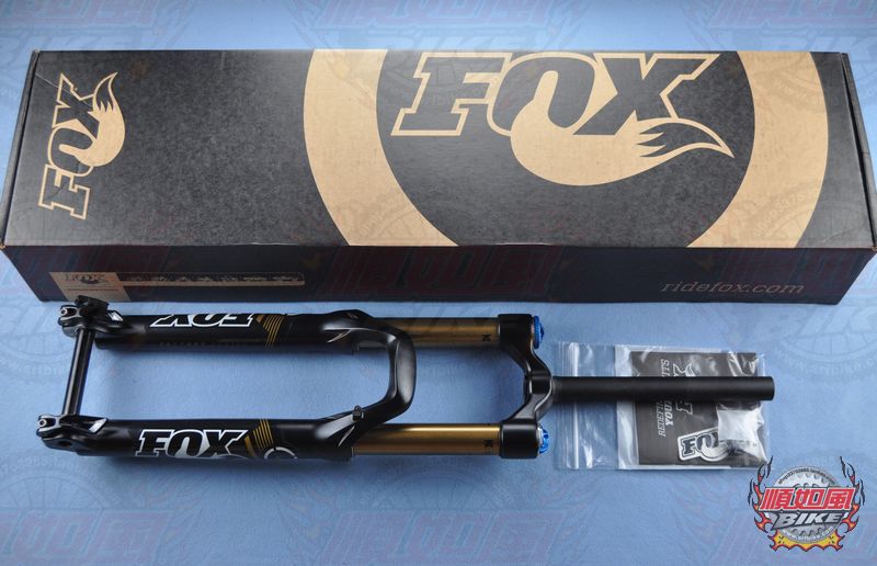 FOX (3).jpg