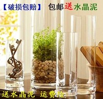 Floor-standing straight tube hydroponic large flower Ware rich bamboo glass vase transparent wedding road introduction