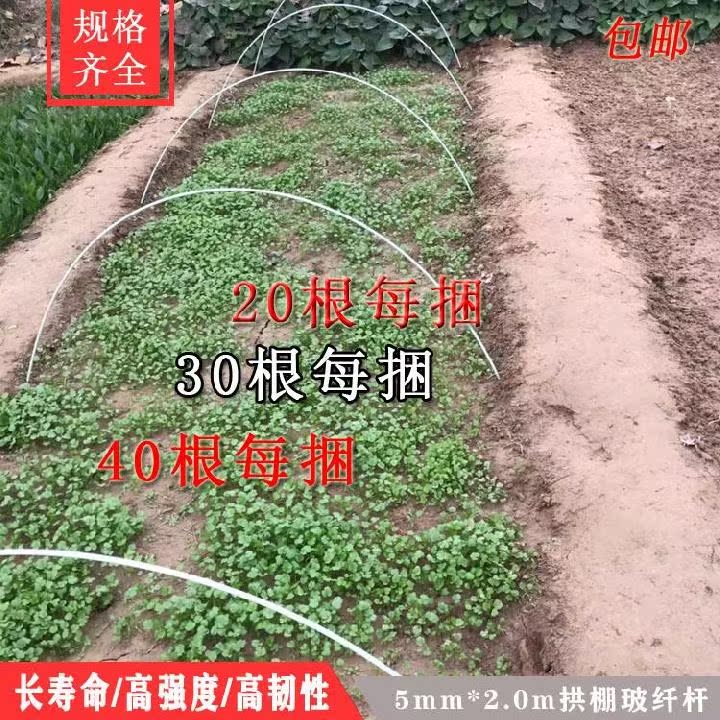 Vegetable Insulation Scaffold Sub Fiberglass Flower House Farm Land Film Small Plant Tent Plastic Steel Bar Support Frame Vegetable Rack