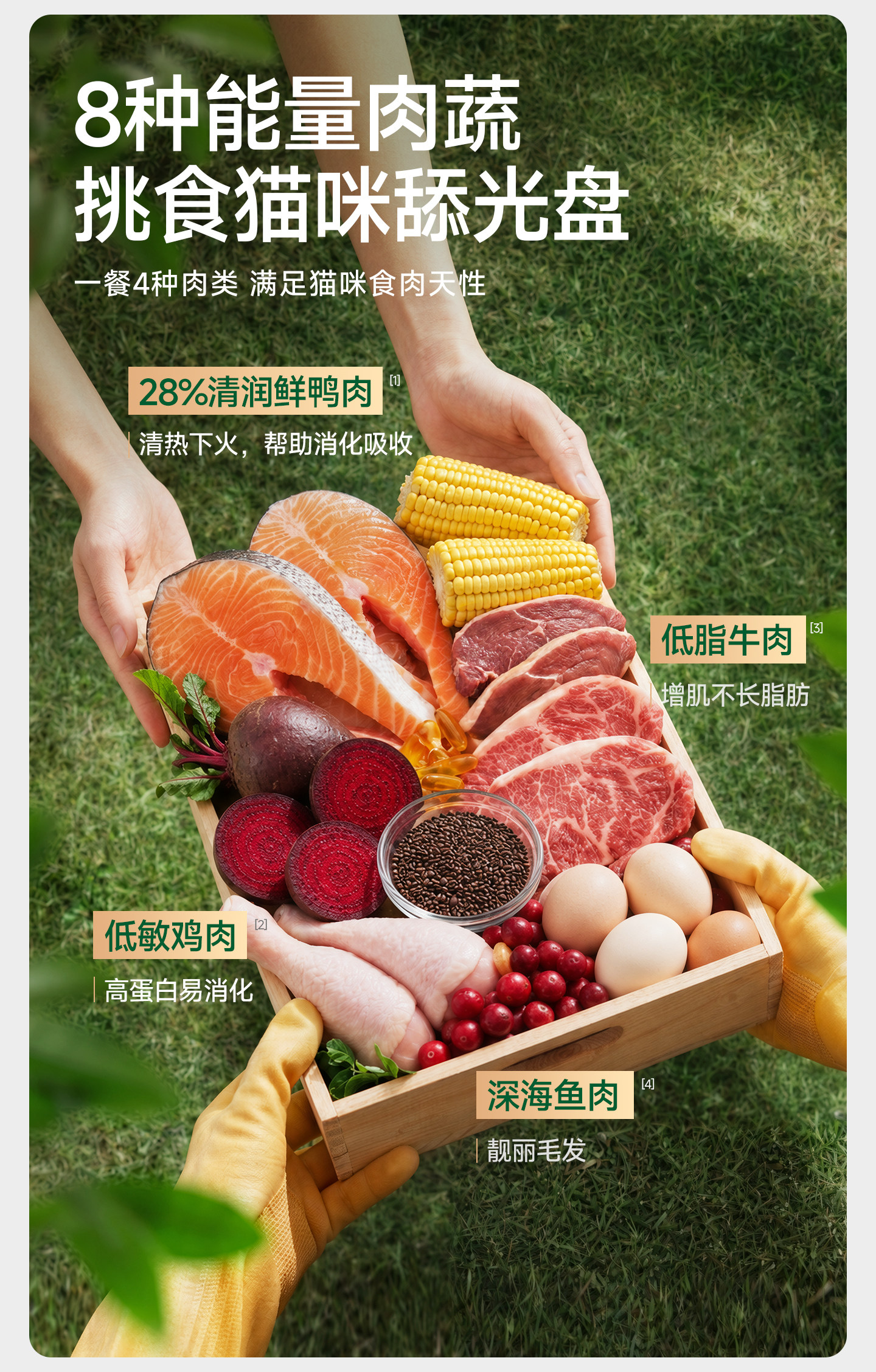 安享好物 安享A级猫粮-力狼e族  全价 鲜鸭肉猫粮 企标 