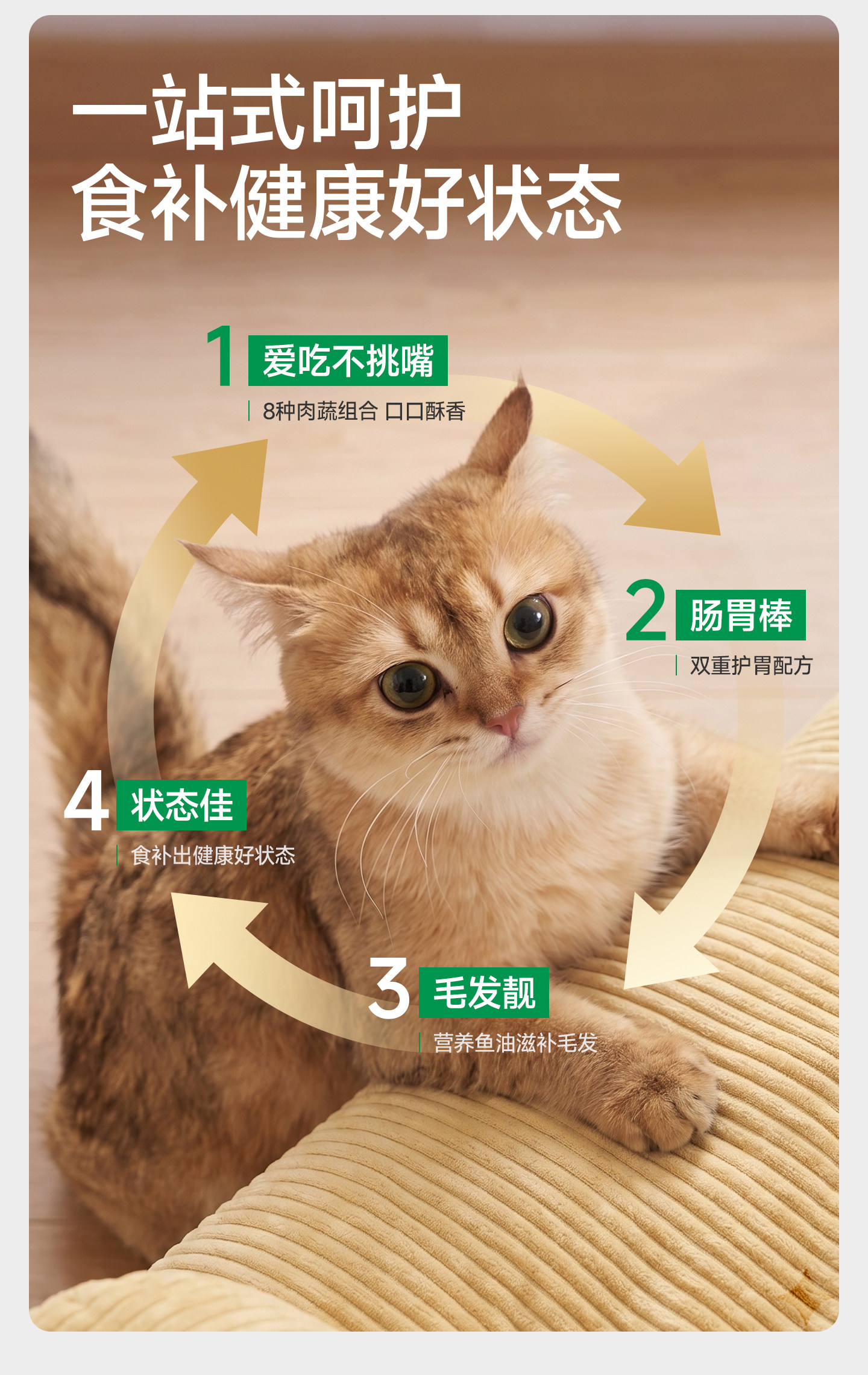 安享好物 安享A级猫粮-力狼e族  全价 鲜鸭肉猫粮 企标 