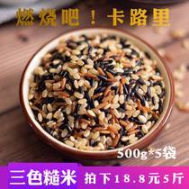 Three-color brown rice new rice 5kg grains red rice black rice brown rice paste Coarse grain fitness germ rice fat reduction Rice