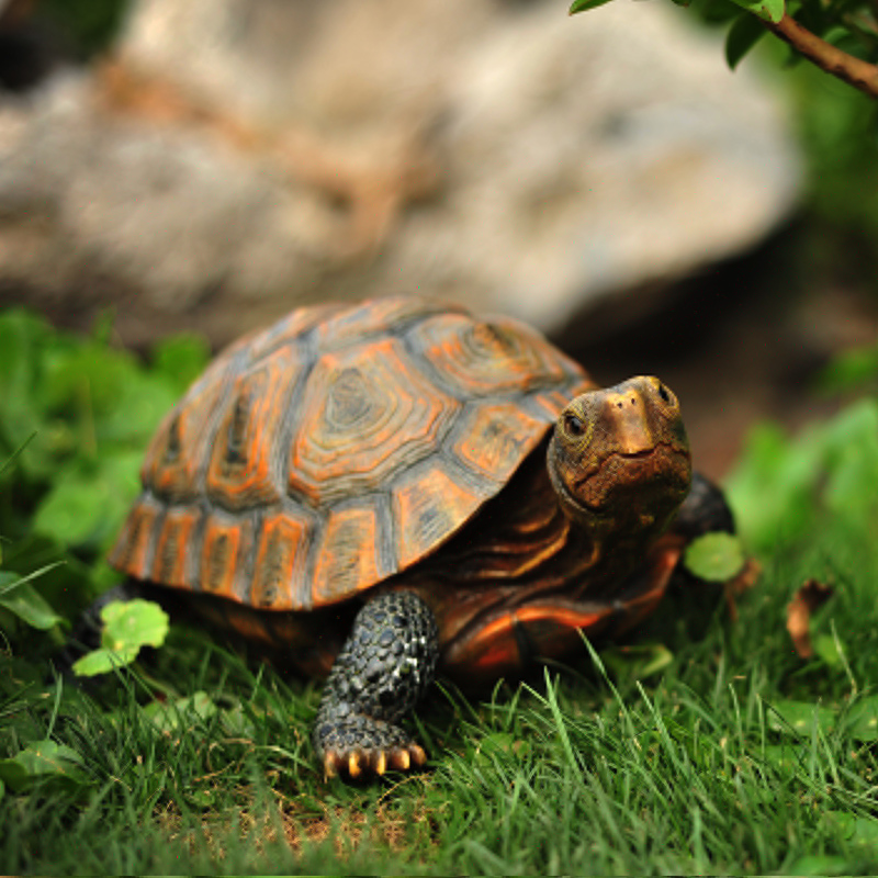 Simulated Animal Turtle Resin Ornaments for Outdoor Gardens, Villas, Courtyards, Ponds, and Fish Tank Decoration and Landscaping Models