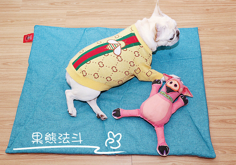 Fruit Bear Farinfighting New easy to clean and resistant to bite, Comfortable Softness All Season Pets Dogs Damp dog cushion