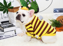 Fruit bear method fight XIYO autumn and winter hat fight cotton clothes