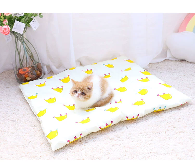 Dog mat vẻ đẹp ngắn mèo tổ pad bốn mùa phổ quát bông pad điều hòa mùa hè mat chó ngủ chăn thú cưng mat - Cat / Dog hàng ngày Neccessities 	bát ăn đôi cho mèo	