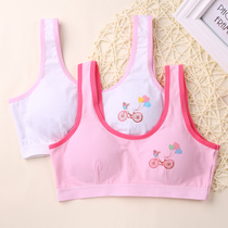 Girls  underwear small vest development of primary school students 9-15 years old girls cotton growth childrens bra sling bandeau