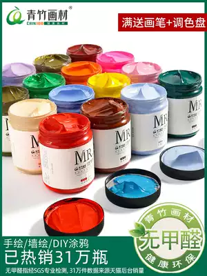 Bamboo acrylic pigment set Hand-painted wall painting Textile fiber pigment waterproof painting shoes diy color graffiti material painting Beginner special painting material Acrylic white gold dye advertising painting