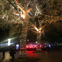 New Year LED small lights flash lights String lights starry sky lights lighting Outdoor engineering waterproof net red room decoration