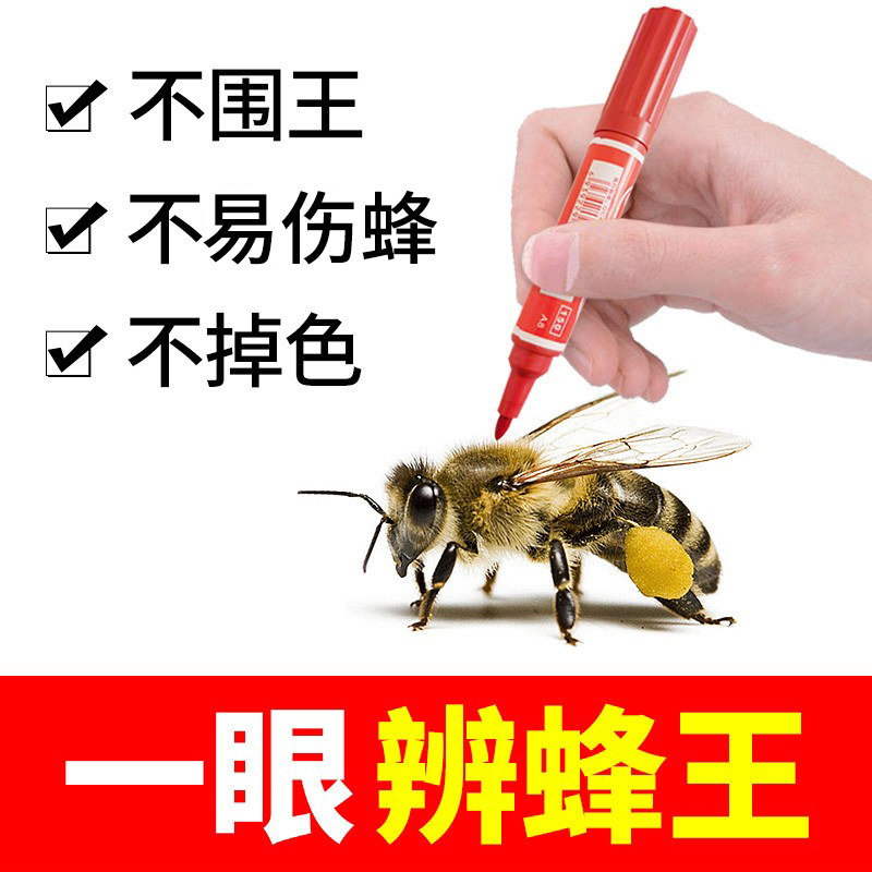 King's Mark Pen Pen Not surrounded by Wang Zheng dry bee bee bee bee breeding tools